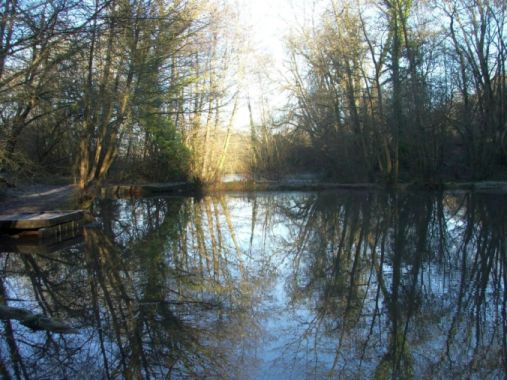 Pool of Annwfn showing deep reflection of trees in the water.